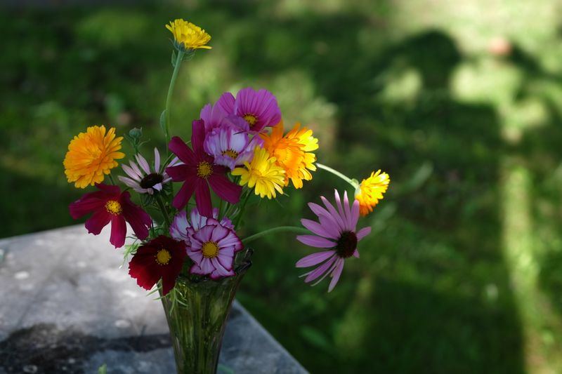 Bouquet de fleurs de saison — inter flora livraison France